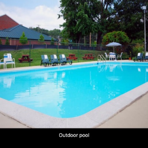 Meet your Posher, Elizabeth - Picture 1 of 1